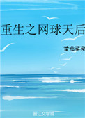 重生之网络巨头小说解析
